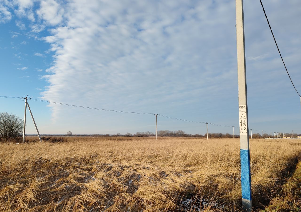 земля г Воскресенск снт Чайка 47 км, городской округ Воскресенск, Белоозёрский, Новорязанское шоссе фото 3