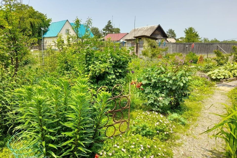 дом г Дальнереченск ул Новая 77 Дальнереченский городской округ фото 2