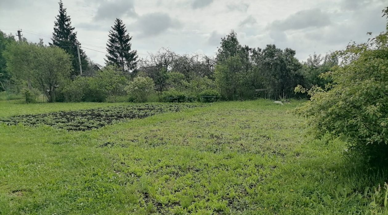 дом р-н Новгородский Панковское городское поселение, № 3 садоводческий массив, Рябинушка-2 садоводческое товарищество фото 8