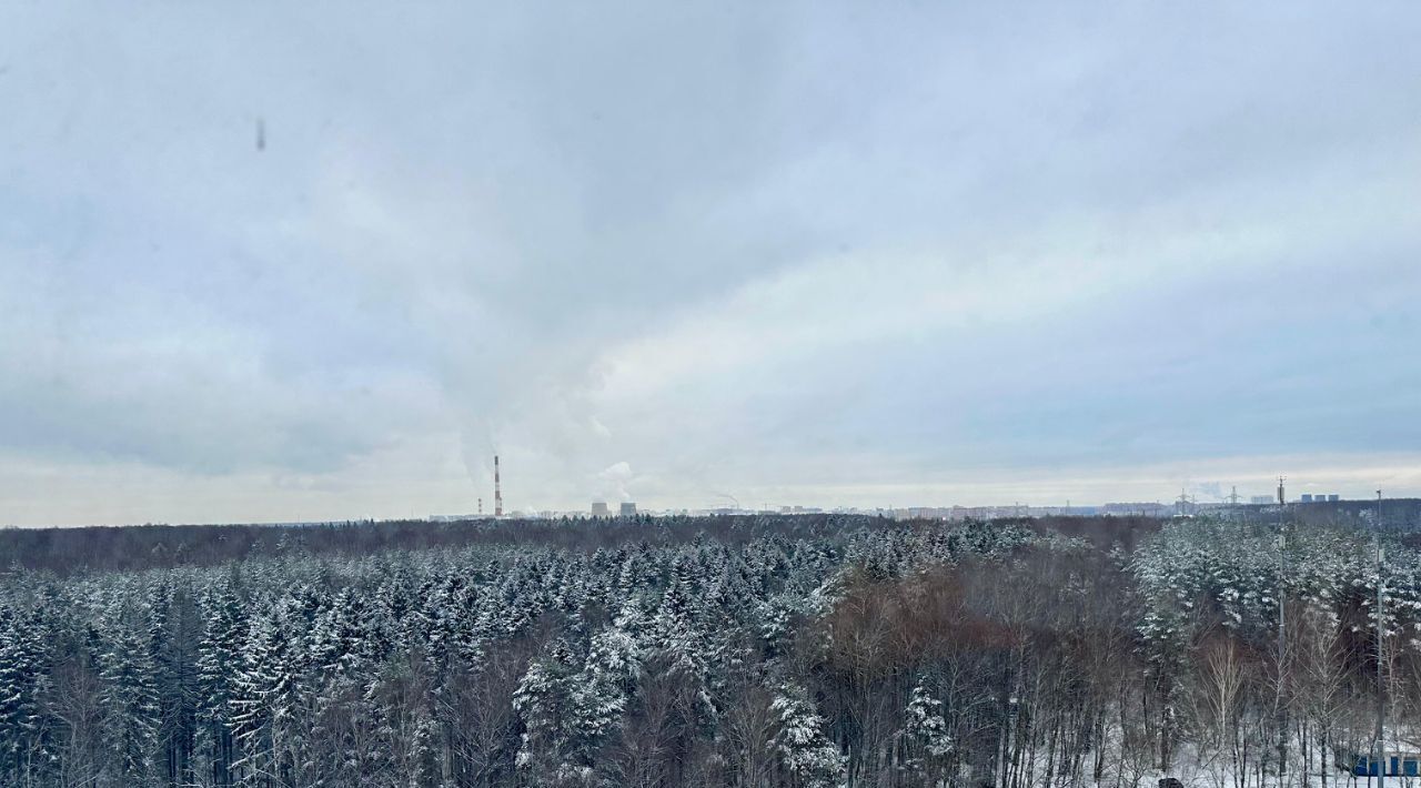 квартира городской округ Мытищи п Нагорное ул Полковника Романова 11 ЖК «Датский квартал» Медведково фото 15