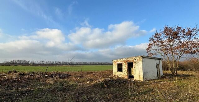 земля Тимашевское городское поселение, 03К-011, 2-й километр фото