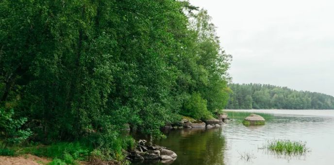 земля р-н Выборгский Приморское городское поселение, Высокинская тер., проезд Озерковый фото 14