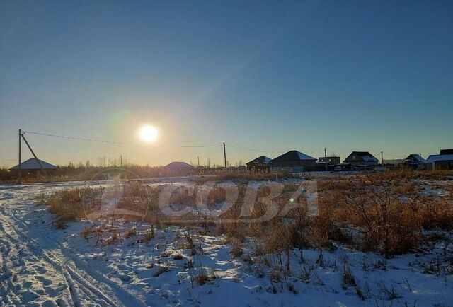 р-н Центральный снт Царево Центральный административный округ фото