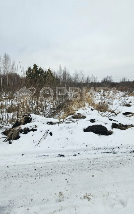 земля р-н Тюменский д Кыштырла фото 10