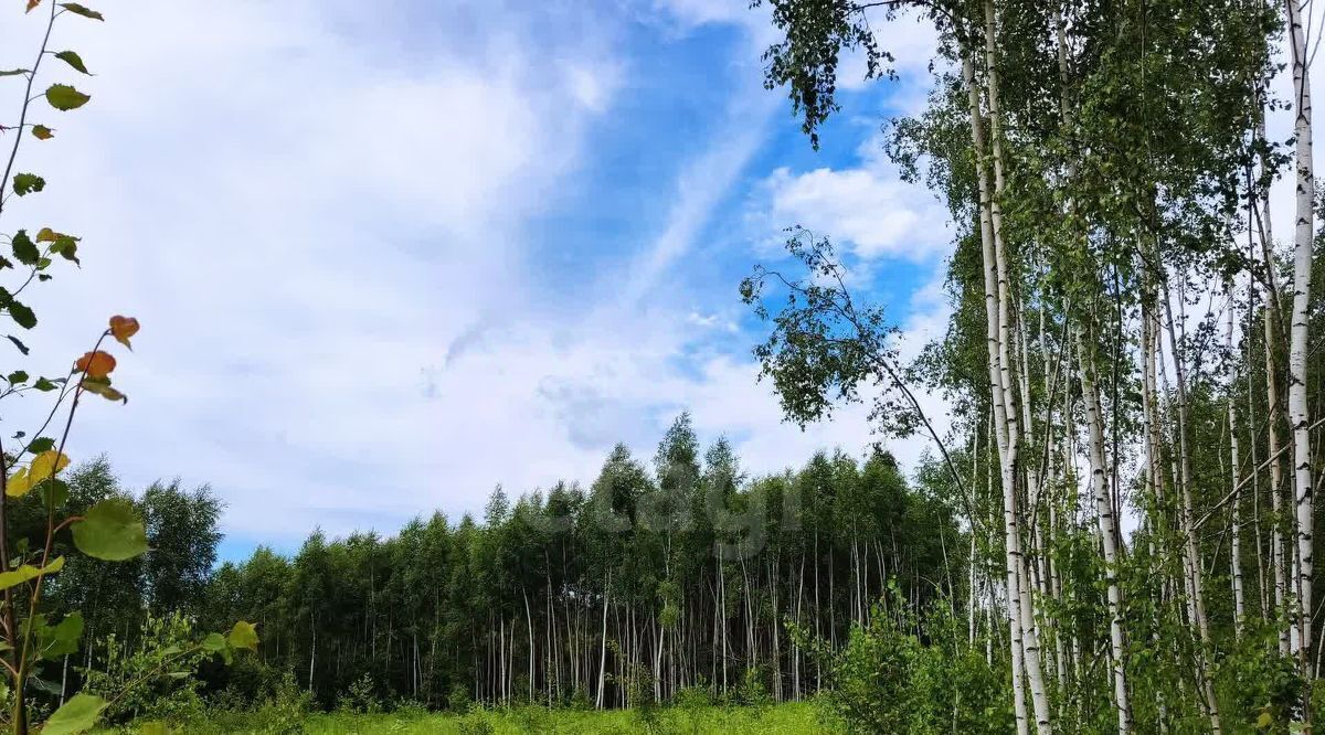 земля р-н Ферзиковский с Грабцево Деревня Горневская сл фото 18