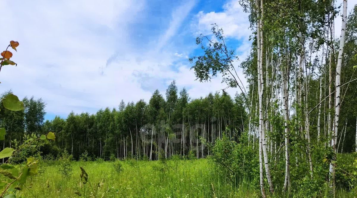 земля р-н Ферзиковский с Грабцево Деревня Горневская сл фото 19