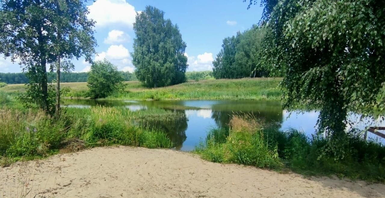 земля городской округ Раменский с Салтыково 33 км, Бронницы, Новорязанское шоссе фото 1