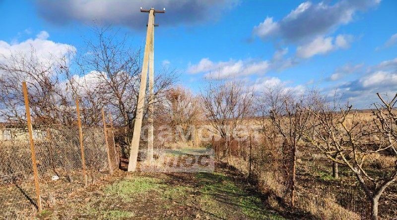 земля р-н Брюховецкий ст-ца Брюховецкая ул Дачная 8 Брюховецкое сельское поселение фото 2