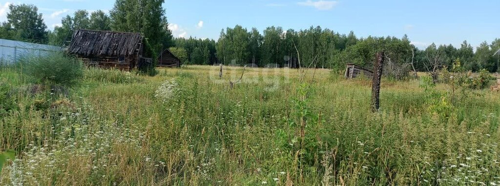 земля р-н Селивановский п Новый Быт ул Озерная Волосатовское сельское поселение фото 2