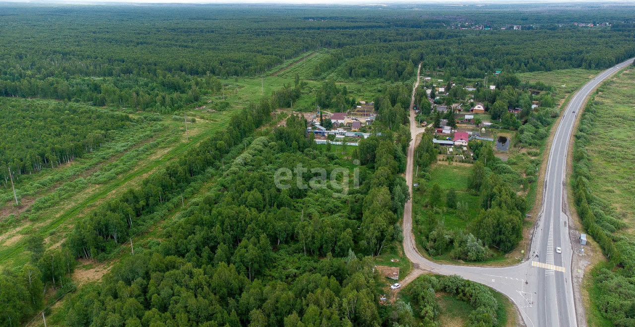 земля р-н Нижнетавдинский снт тер.Разбахта Тюмень фото 10