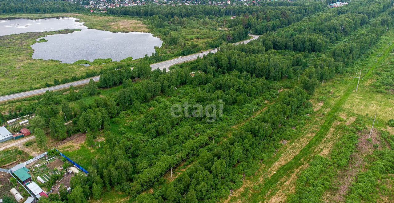 земля р-н Нижнетавдинский снт тер.Разбахта Тюмень фото 27