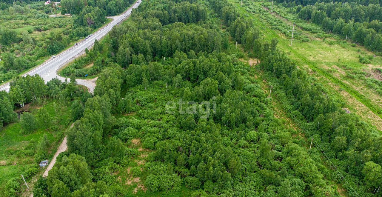 земля р-н Нижнетавдинский снт тер.Разбахта Тюмень фото 31