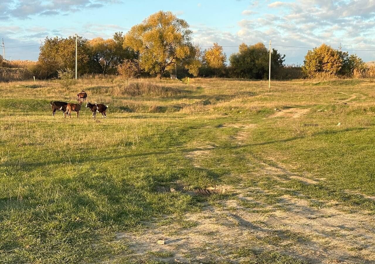 земля р-н Симферопольский с Перевальное ул Дачная 95 Добровское сельское поселение, Ферсманово фото 6