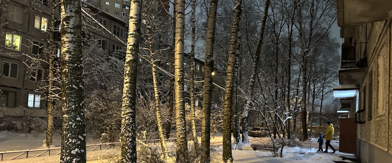 квартира г Санкт-Петербург метро Площадь Мужества пр-кт Гражданский 9к/7 округ Гражданка фото 17