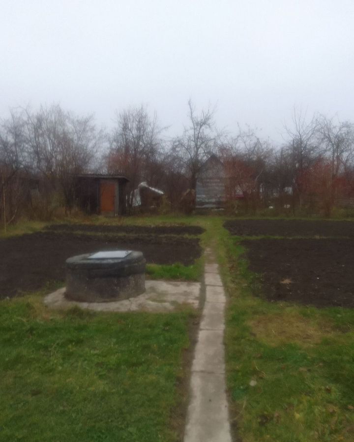 земля р-н Гурьевский п Голубево снт Голубево Калининград фото 4