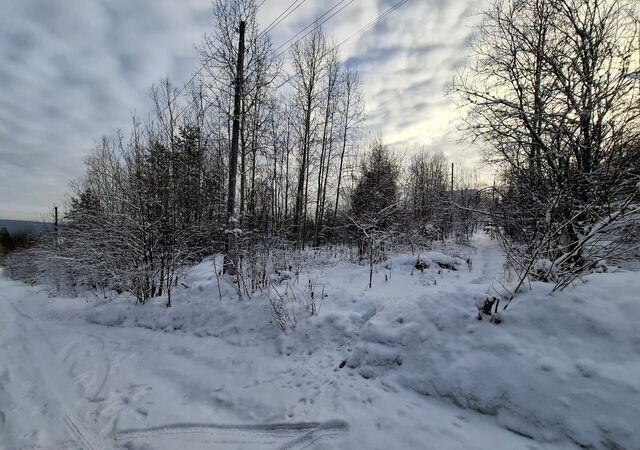 снт Надежда Иркутск фото