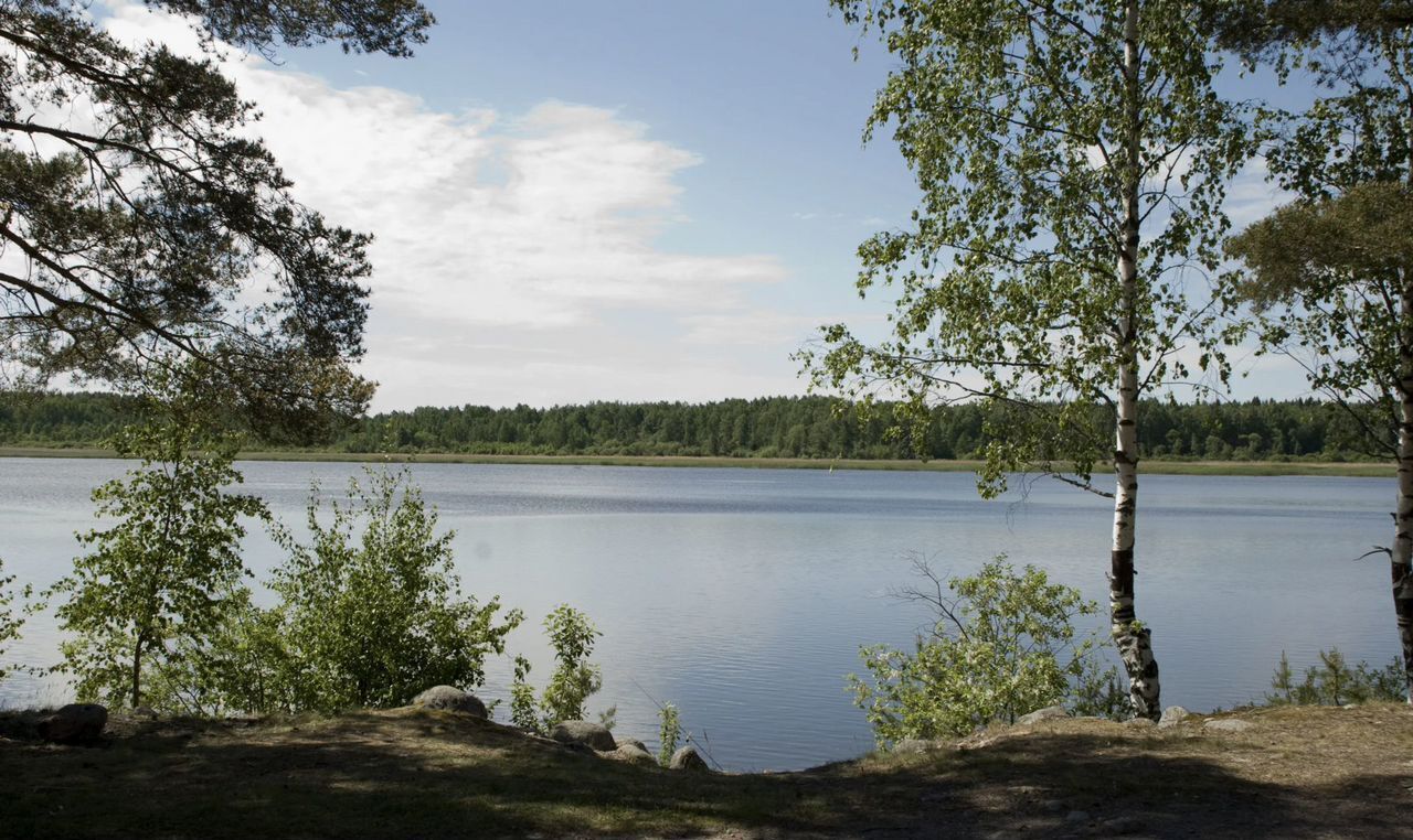 земля р-н Выборгский п Красносельское Трасса Скандинавия, 70 км фото 1