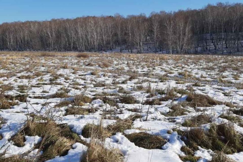 земля г Курган Курган городской округ, Весенняя, 22а фото 4