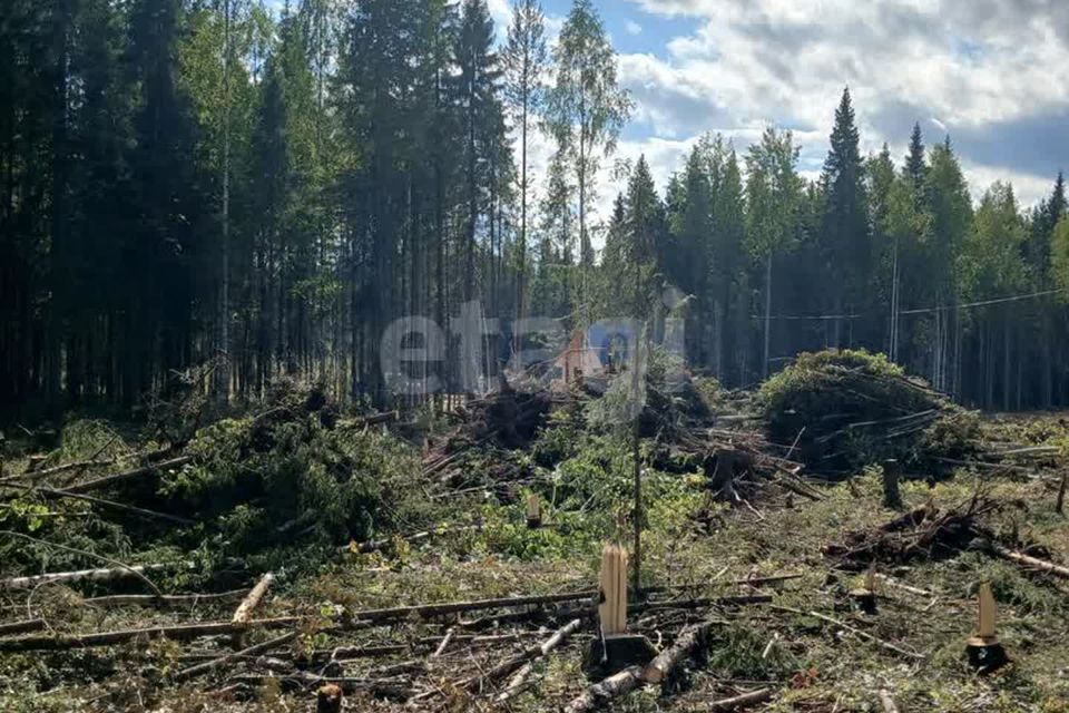 земля г Сыктывкар Сыктывкар городской округ, Эжвинский фото 4