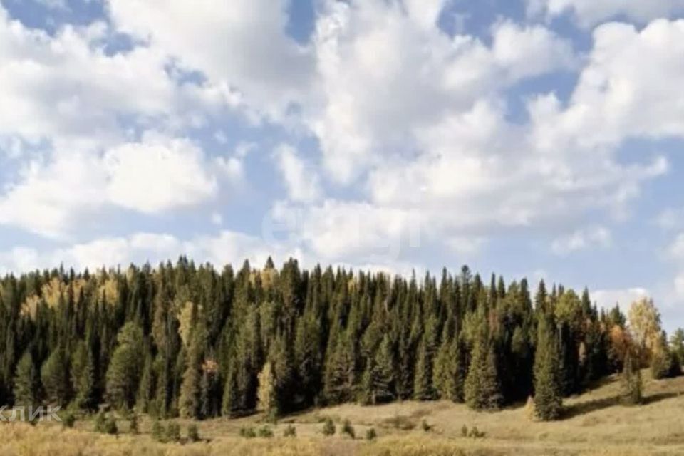 земля Нижний Тагил городской округ, Сулём фото 4