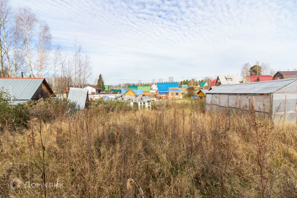 земля г Ханты-Мансийск СОК Лесной, Ханты-Мансийск городской округ фото 4