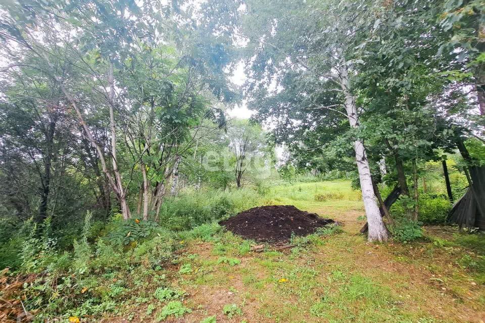 земля г Благовещенск СТ Связист, Благовещенск городской округ фото 1