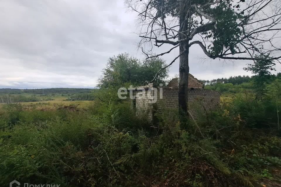 земля г Благовещенск СТ Связист, Благовещенск городской округ фото 3