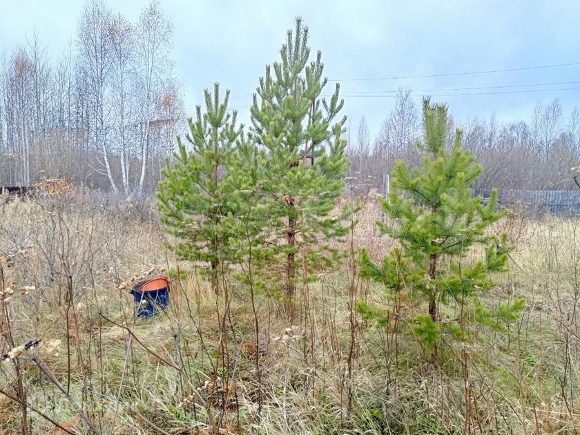 дом р-н Нижнетавдинский снт Строитель улица 10-я Садовая, 427 фото 8