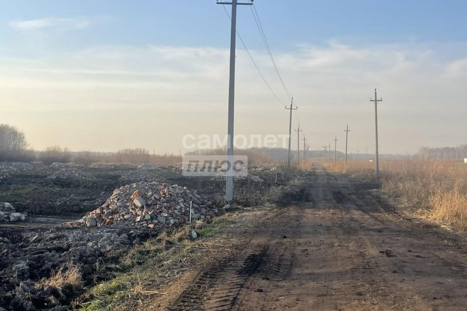 земля р-н Тюменский с Горьковка Совхозная фото 8