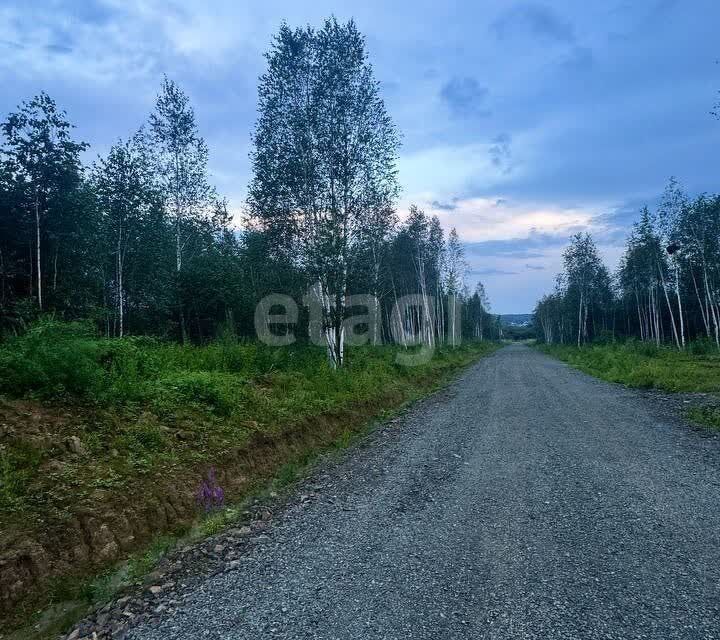 земля р-н Хабаровский Некрасовка фото 7