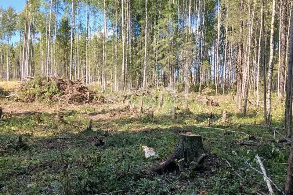 земля г Сыктывкар Сыктывкар городской округ, Эжвинский фото 8