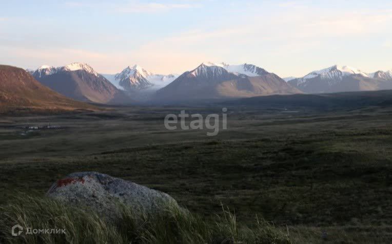 земля р-н Кош-Агачский Беляши фото 6