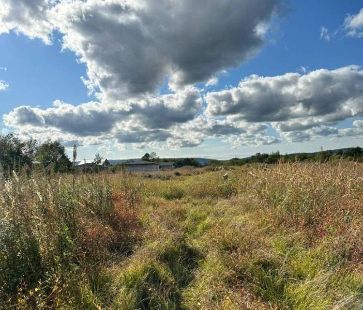 земля р-н Чугуевский с Ясное Артёмовский городской округ, улица Зорге-2 фото 6