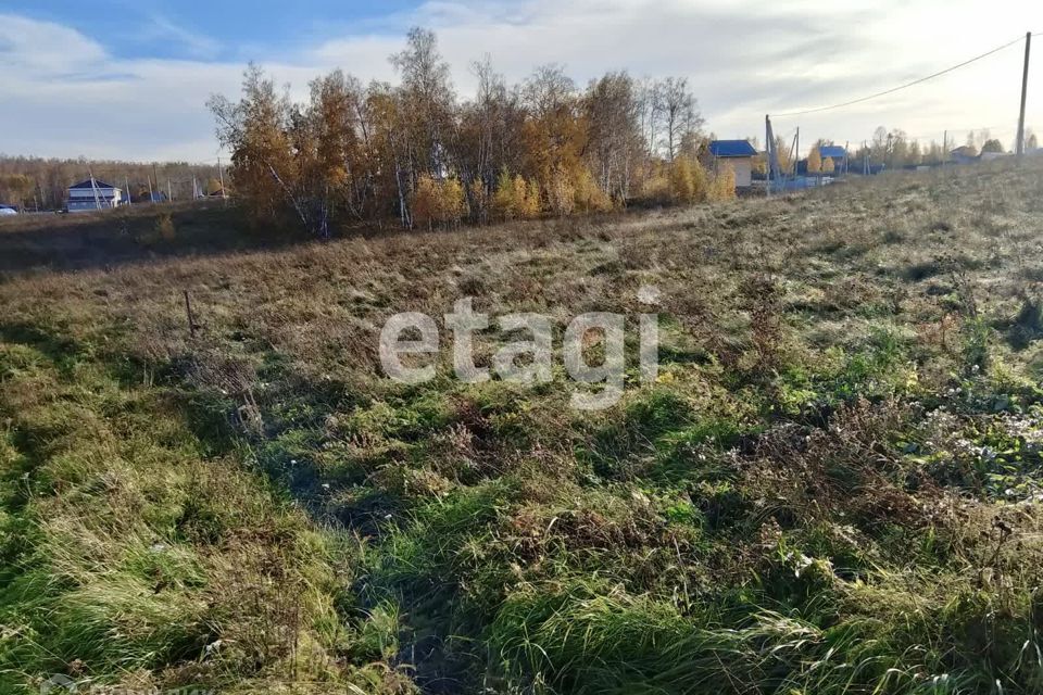 земля р-н Емельяновский СНТ Луч фото 9