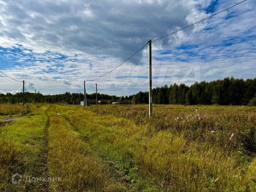 земля р-н Тюменский фото 5