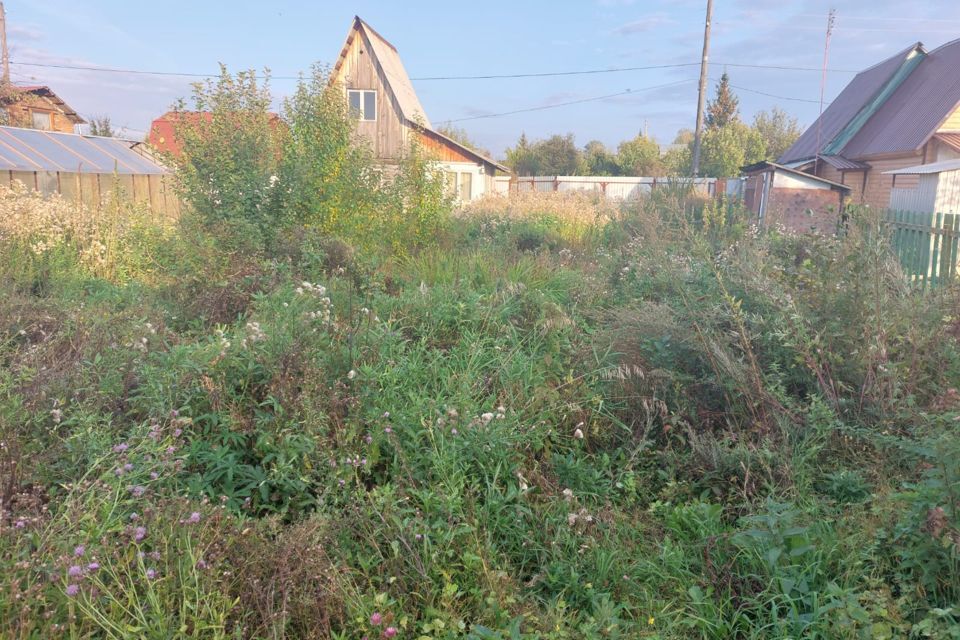 земля Озёрский городской округ, СНТ Заря фото 10