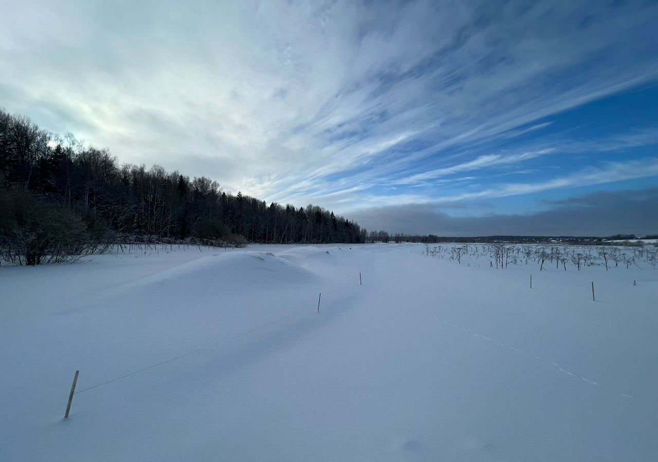 земля городской округ Домодедово 35 км, с. Растуново, Новокаширское шоссе фото 3