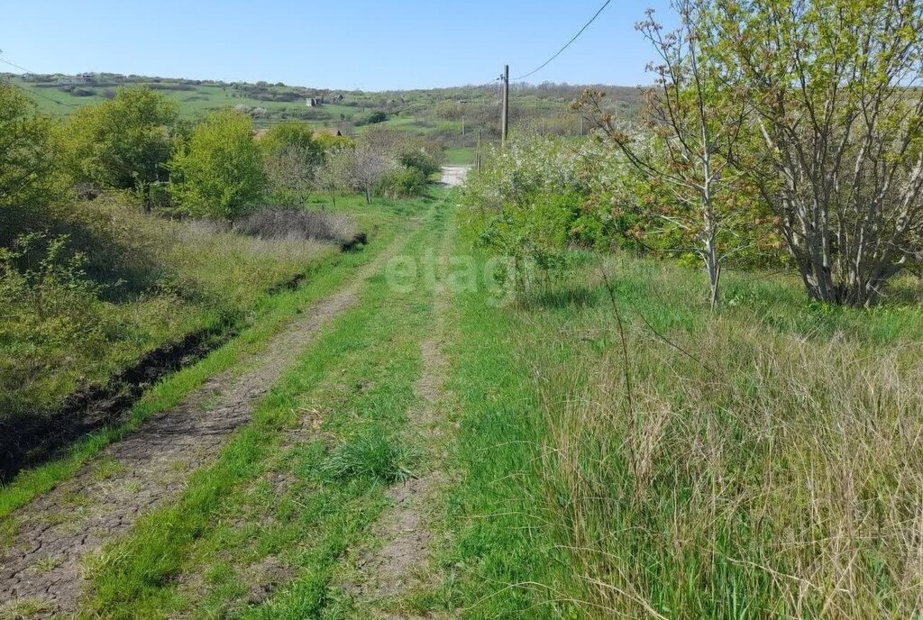 земля р-н Анапский г Анапа ул Центральная садоводческое товарищество Персик фото 4