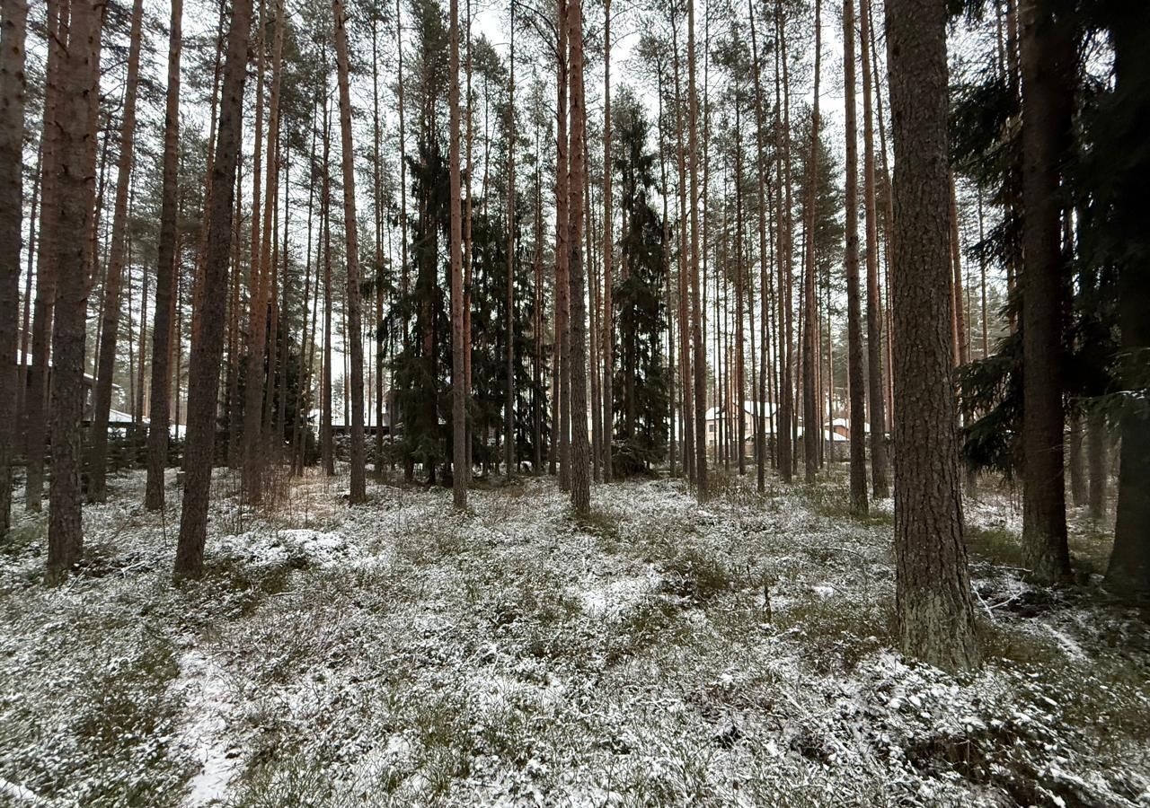 земля р-н Всеволожский д Энколово 6 км, Всеволожский р-н, Бугровское городское поселение, коттеджный пос. Райт Парк, Токсово, Ленинградское шоссе фото 2