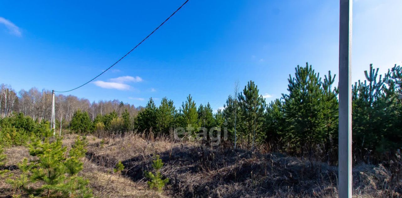 земля р-н Нижнетавдинский д Московка 6-я линия фото 4