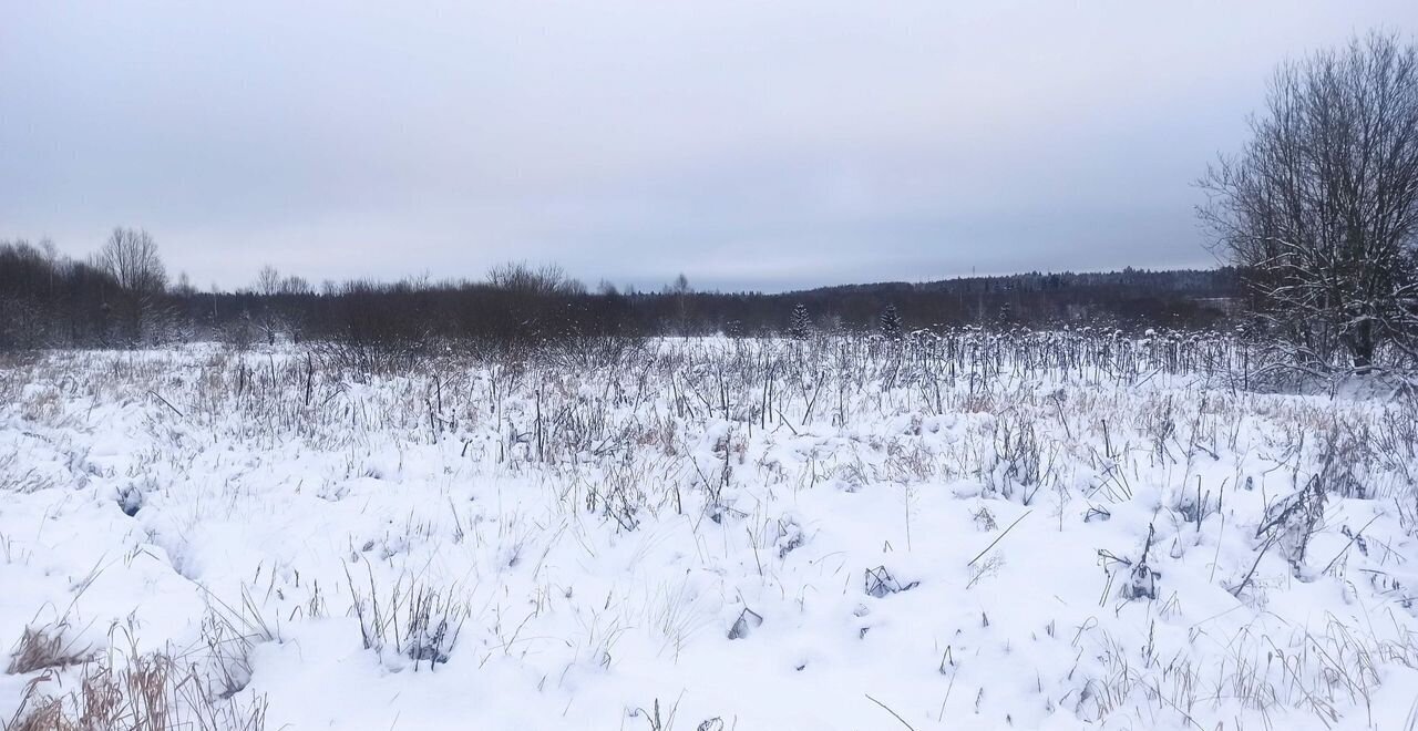 земля городской округ Рузский д Андрейково ул Дачная 62 км, Новопетровское, Волоколамское шоссе фото 2