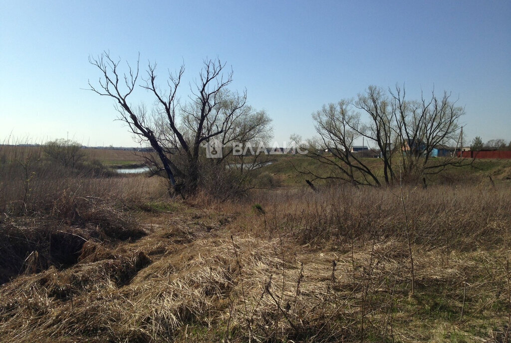 земля городской округ Луховицы д Ивачево 31 фото 3