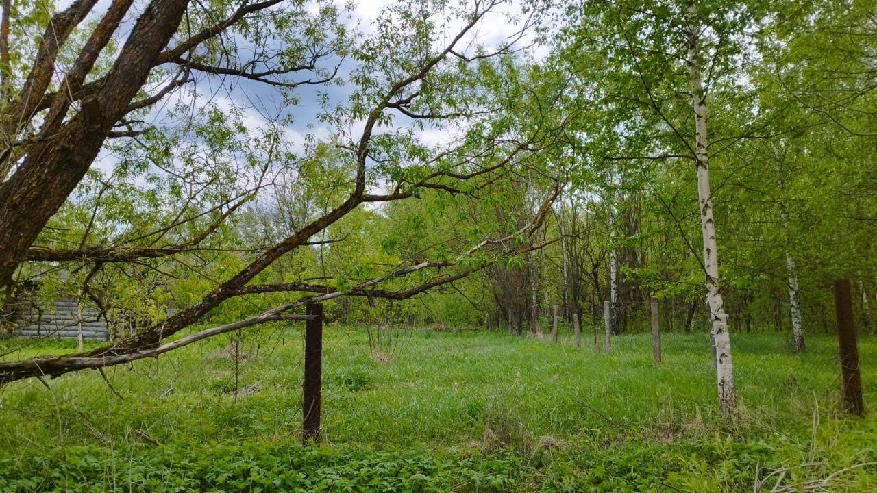 дом городской округ Шатура д Наумовская фото 3