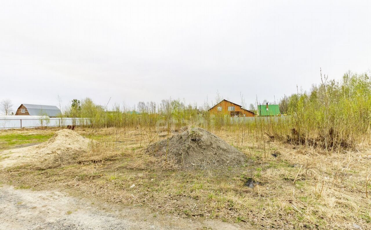 земля г Тобольск снт Возрождение Ханты-Мансийский АО, Сургут фото 8