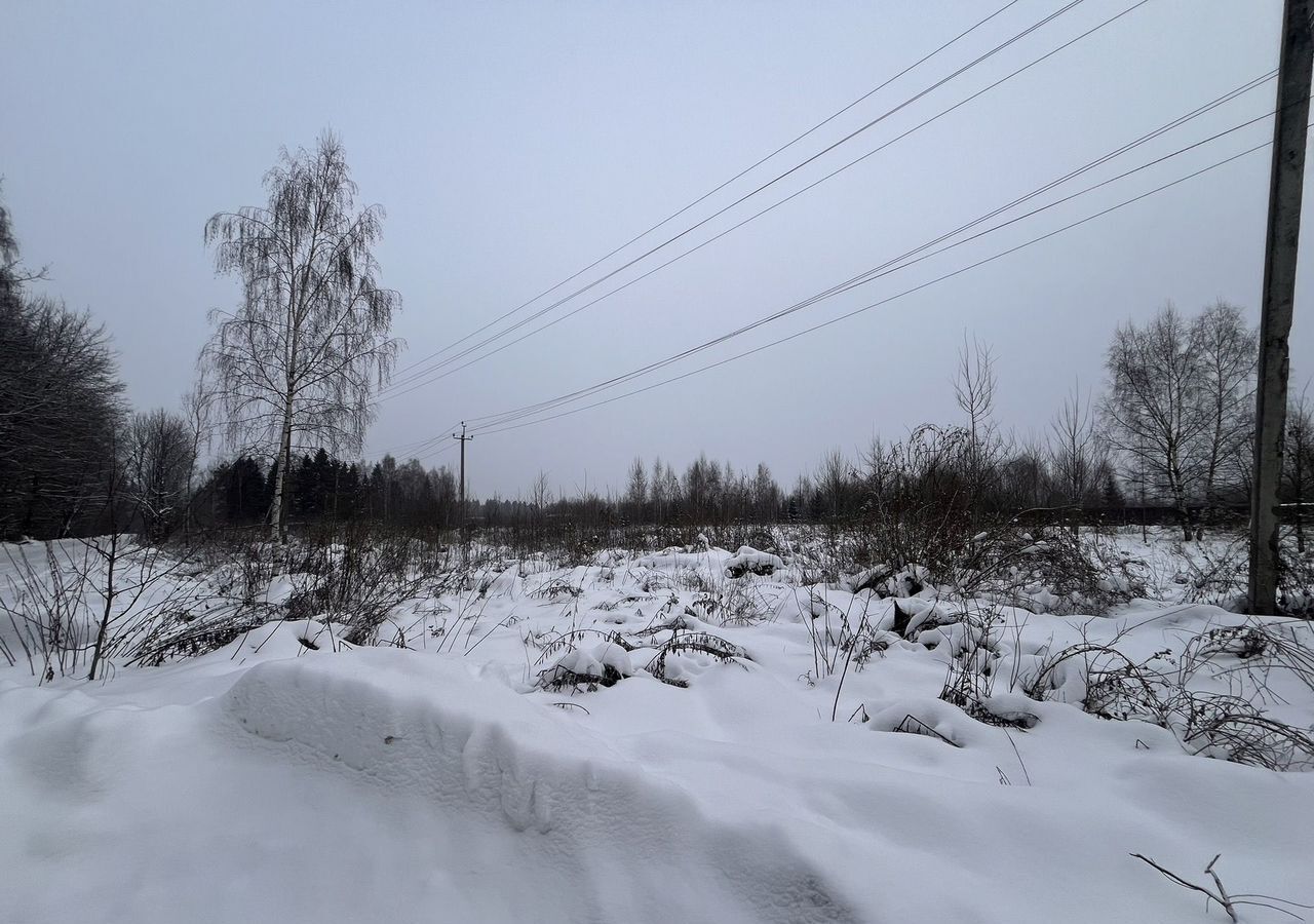 земля городской округ Наро-Фоминский д Софьино тер ДСК Международник 33 км, Селятино, Киевское шоссе фото 4