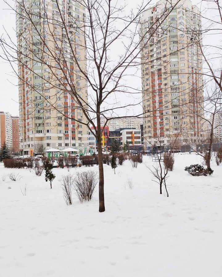 квартира г Москва метро Некрасовка ул Льва Яшина 9 микрорайон «Некрасовка-Парк» муниципальный округ Некрасовка фото 3