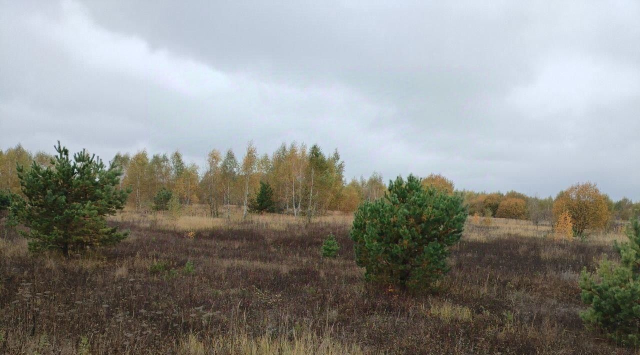 офис городской округ Озерский д Свиридоново Коломна городской округ фото 1