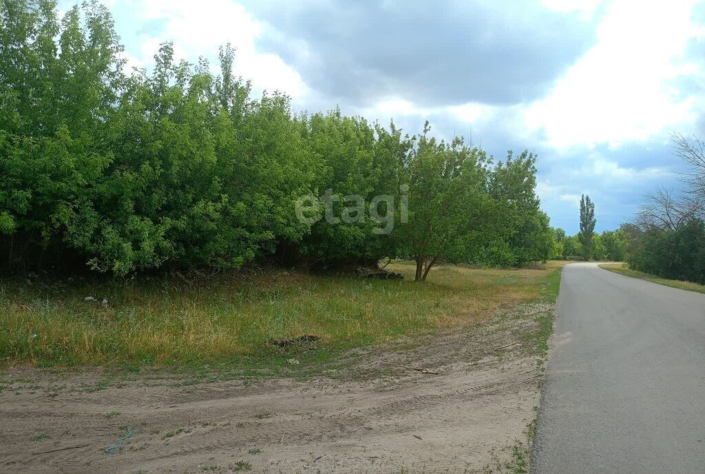 земля р-н Рамонский с Горожанка ул Центральная фото 2