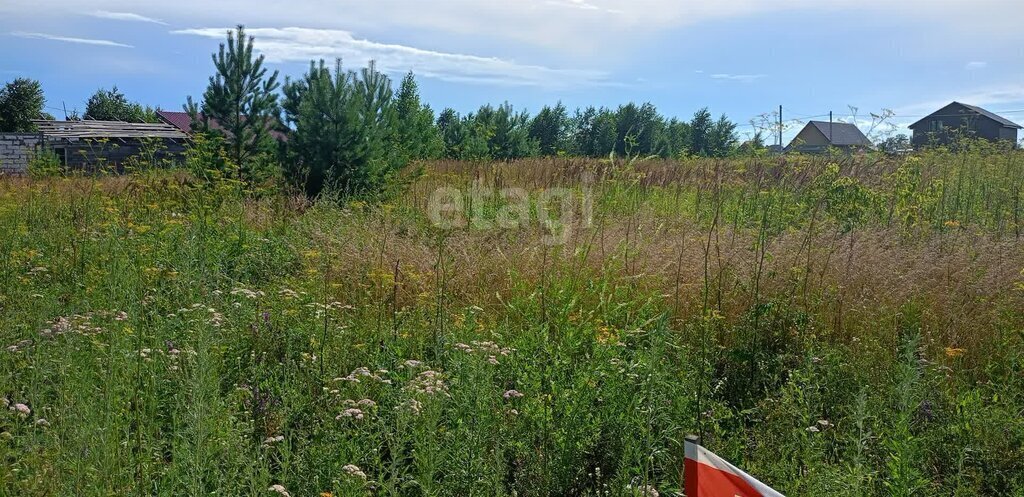 земля р-н Первомайский п Новый микрорайон Александрова слобода фото 3