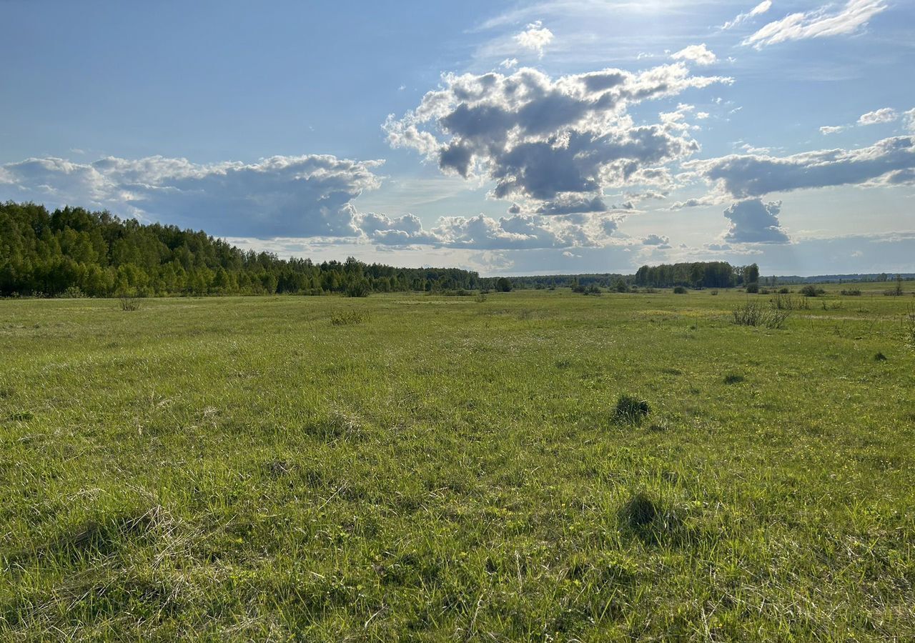 земля городской округ Можайский д Люльки 133 км, Уваровка, Минское шоссе фото 2